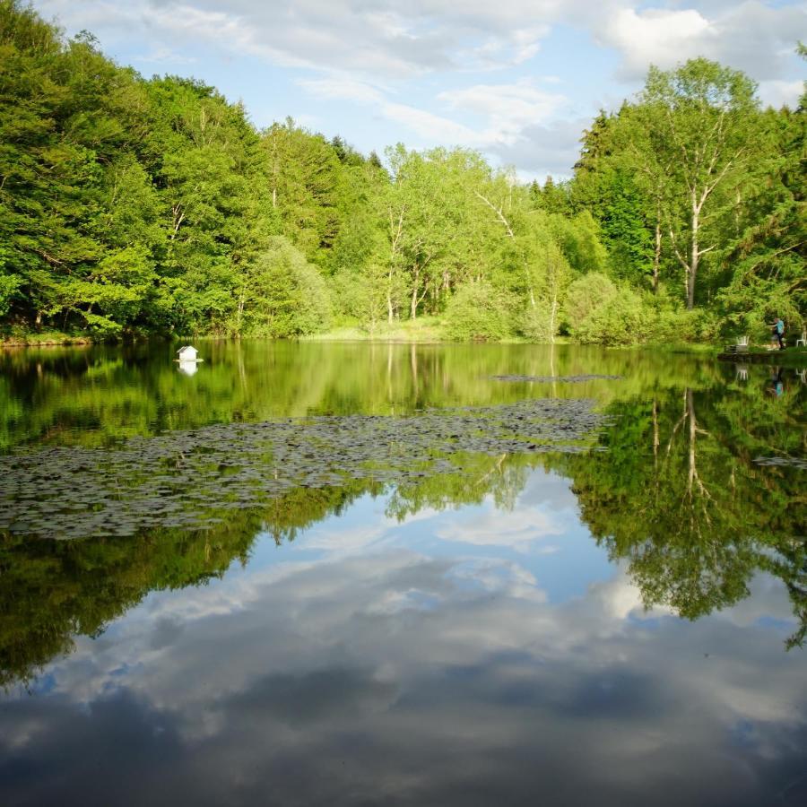 Le Crusoe A L'Etang D'Anty - Appartement Saint-Nabord Buitenkant foto